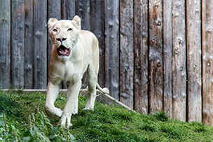 Zoo Hodonín